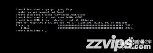 怎样在Linux中安装光盘上的DHCP服务
