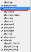 PHP扩展mcrypt实现的AES加密功能示例