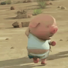 抖音小猪跑步减肥gif全套表情包 抖音小猪跑步表情包可爱动态图