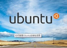 Ubuntu安装包信息如何查看