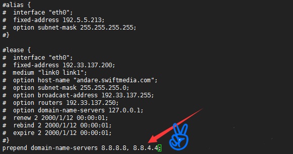 修改Linux系统VPS主机的DNS的方法