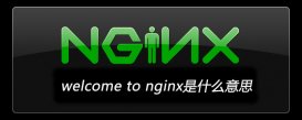 welcome to nginx是什么意思