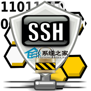 Linux取消SSH登录密码不输入密码进行登录