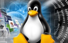Linux系统如何安装mongodb数据库Mongo扩展