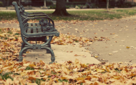 关于秋天的伤感心情说说 秋季真的是伤感的代名词吗