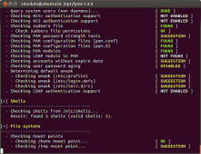 Linux如何使用Lynis工具检测系统安全