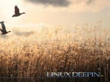 在Linux系统下查找可移植可执行文件的方法