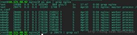 针对OpenSSL安全漏洞调整Nginx服务器的方法