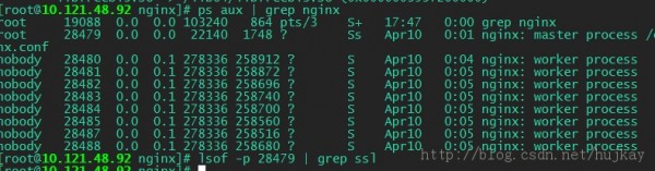 针对OpenSSL安全漏洞调整Nginx服务器的方法