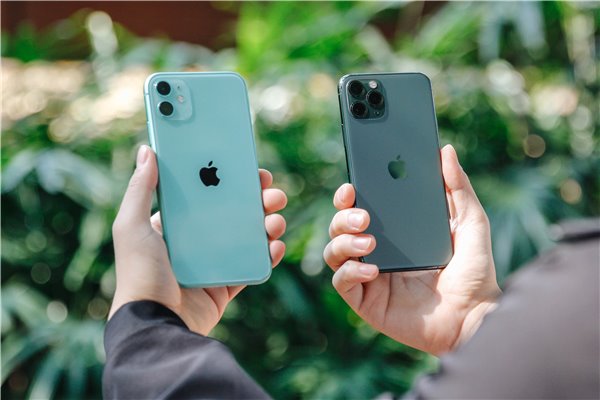苹果iPhone 11和 iPhone 11 Pro该怎么选？