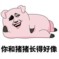 可爱的金馆长系列猪猪搞笑表情包 你到底爱不爱猪猪嘛