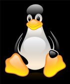 Linux Kernel 5.4正式发布：支持exFAT和内核锁定