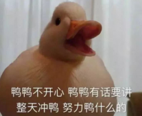 duck不必是什么梗 duck不必什么意思