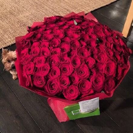 2020七夕最浪漫的图片 送你一束红玫瑰