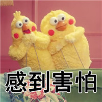 日本docomo鹦鹉兄弟搞笑表情包 鹦鹉兄弟文字表情包