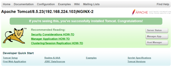 Keepalived+Nginx+Tomcat 实现高可用Web集群的示例代码