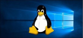 Windows 7停止支持，韩国政府考虑大规模迁移至Linux