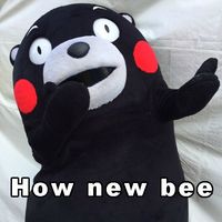 熊本熊系列英文搞笑表情包 how new bee
