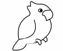 qq画图红包鹦鹉如何画 鹦鹉的简单画法