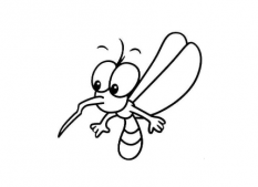 qq画图红包蚊子怎么画容易识别 蚊子简笔画