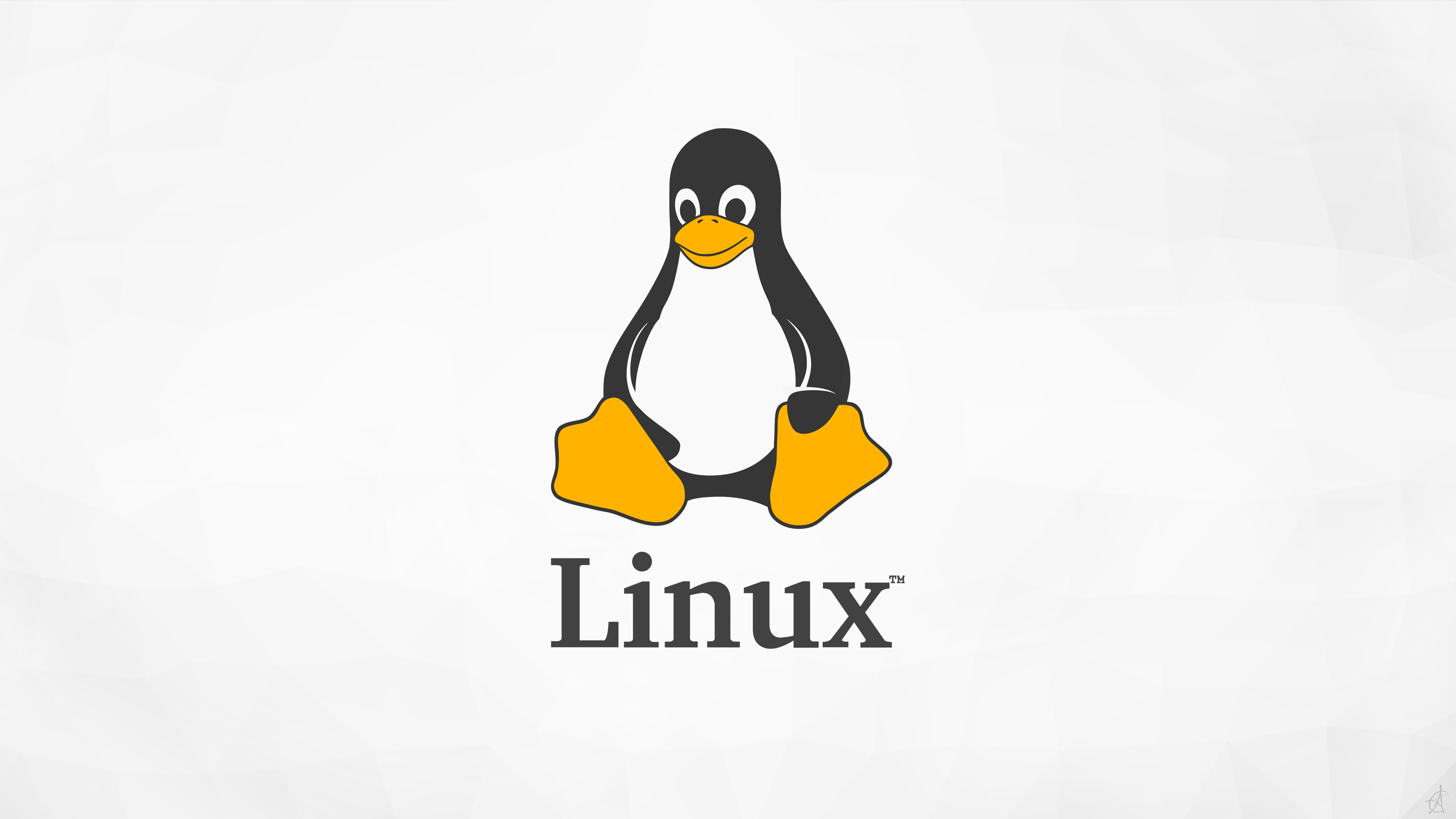 exFAT 文件系统最新驱动程序已进入 Linux 5.7 内核