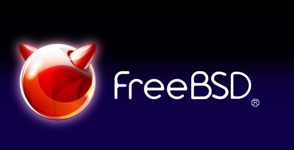 自由类 Unix FreeBSD 新网桥 if_bridge 性能提高 5 倍