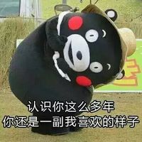 熊本熊母亲节特辑表情包 熊本熊撩妈系列表情包图片