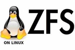 Linux 文件系统 OpenZFS 0.8.4 发布