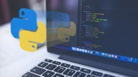 Python 3.8.3 发布