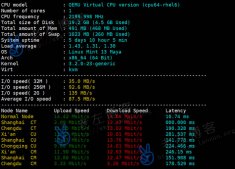 一键检测Linux VPS/服务器配置、IO、国内节点下载测速