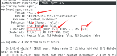 详解CentOS 7.4下如何部署Asp.Net Core结合consul