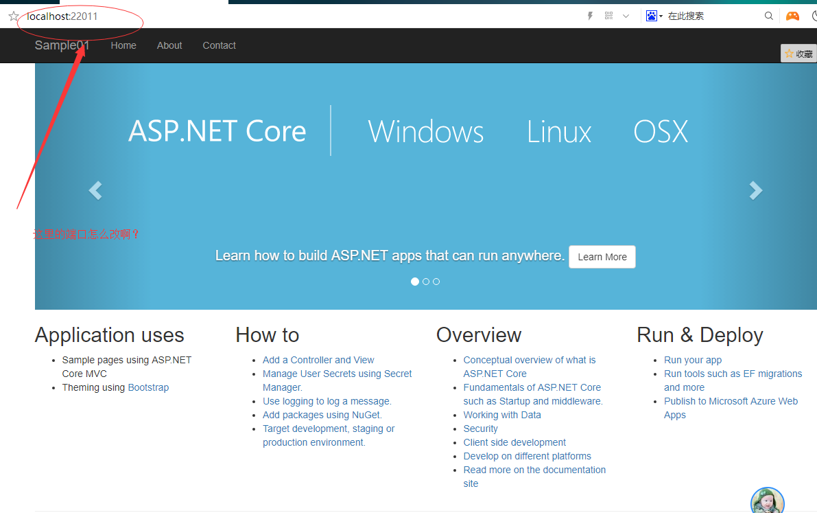 快速入门ASP.NET Core看这篇就够了