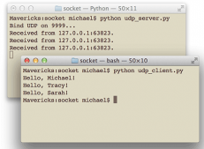 在Python下进行UDP网络编程的教程