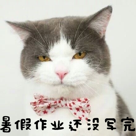 与开学有关的QQ表情 小猫咪友情提示大家马上要开学啦