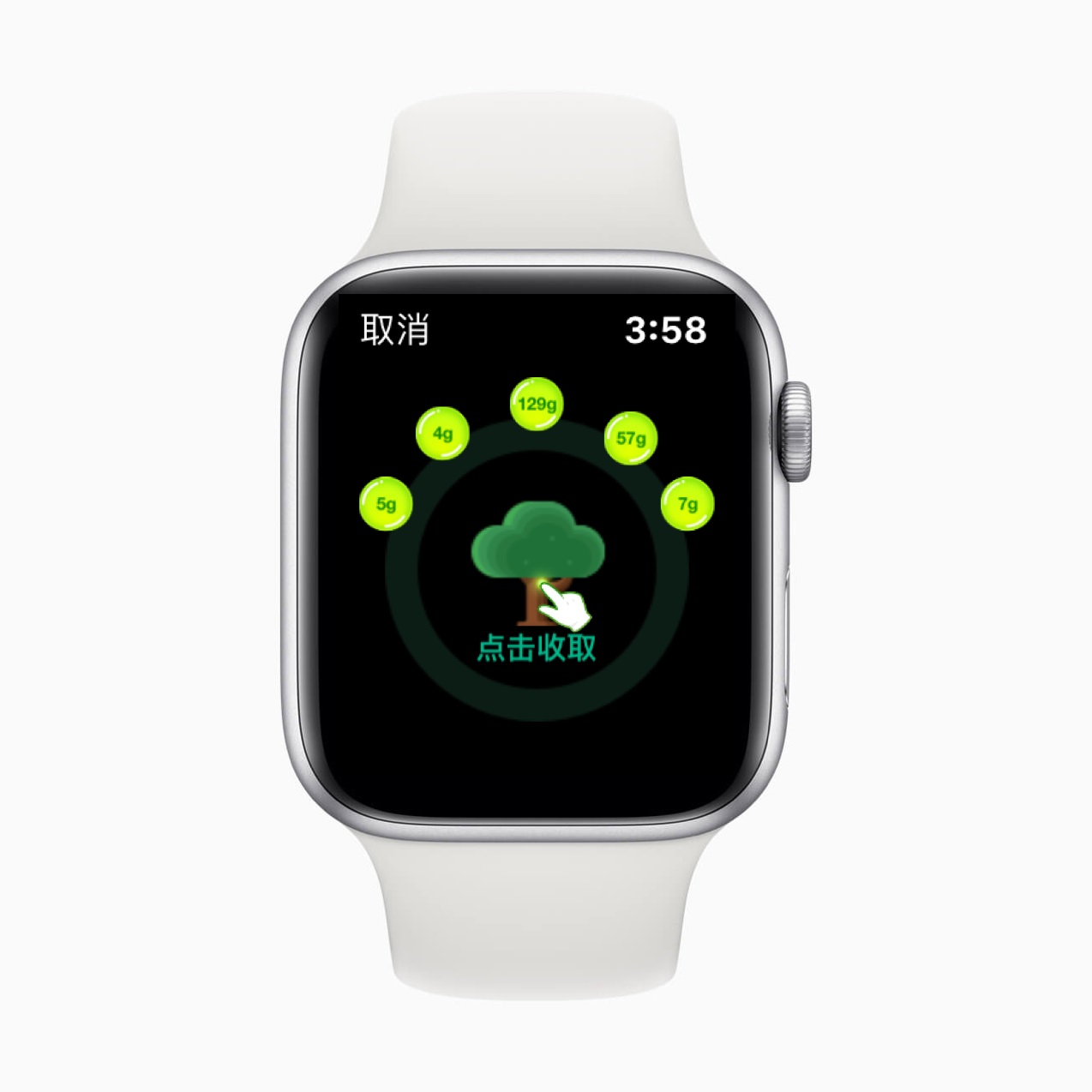 苹果 Apple Watch 支付宝新功能发布：“一键收取”蚂蚁森林能量