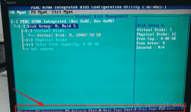 Dell R710 服务器做Raid0与Raid5磁盘阵列的图文教程
