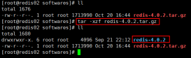 Linux下Redis服务器搭建过程