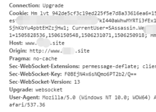 WebSocket部署服务器但外网无法连接的解决方法