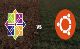 CentOS与Ubuntu哪个更适合做服务器系统