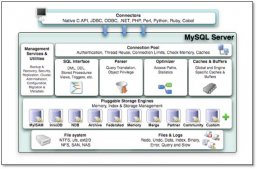 基于MySQL的存储引擎与日志说明(全面讲解)