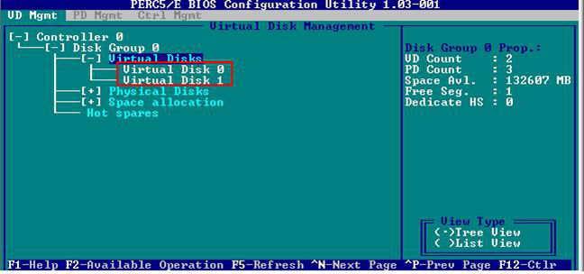 DELL R710服务器做RAID5磁盘阵列图文教程