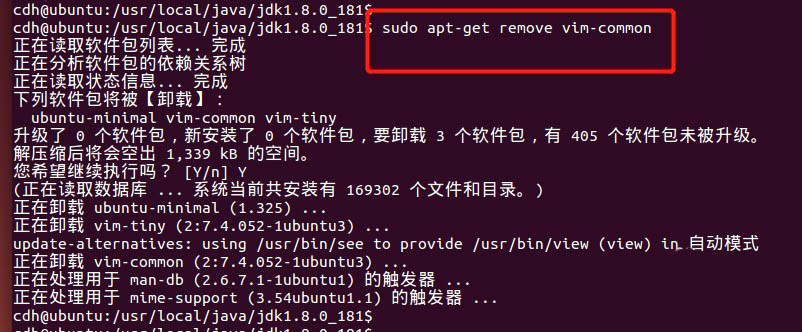 Ubuntu怎么解决vi编辑器按上下左右变成ABCD的问题?