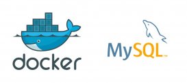 Docker容器启动时初始化Mysql数据库的方法