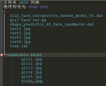 Python 40行代码实现人脸识别功能