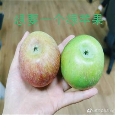 冬天第一个绿色苹果的梗表情包 第一个苹果的梗