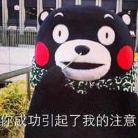 熊本熊表情包微信专属 日本熊本熊表情聊天表情带字