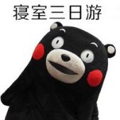 2020熊本熊五一旅游表情包特辑 劳动节该去哪旅游呢
