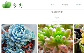 HTML5响应式多肉植物花卉公司企业网站源码