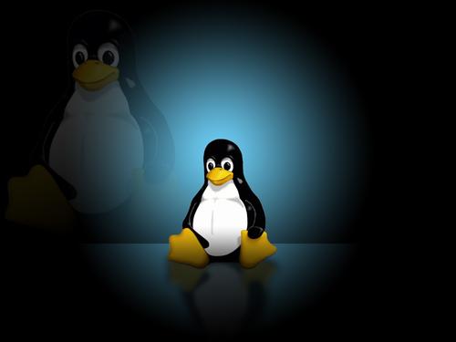 大神教你在Linux中查找和删除重复文件的4种方法