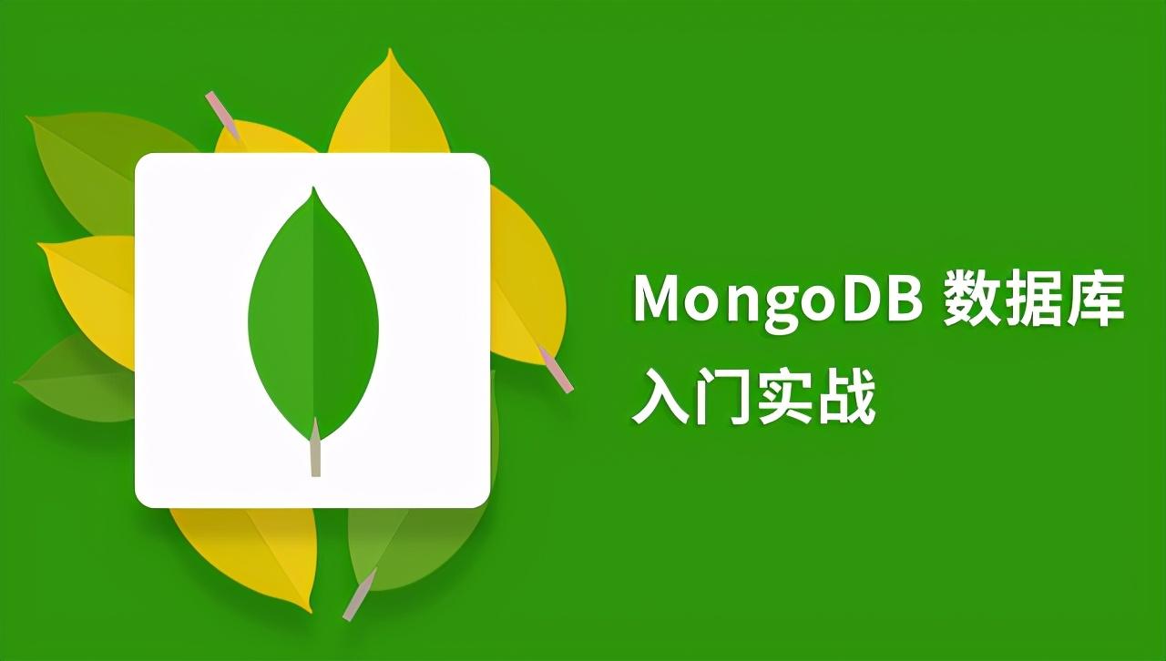 自学大数据，给IT新手的7个MongoDB实战项目